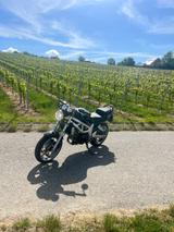 Suzuki SV 650  - Offers