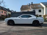 Dodge Challenger 6,4L R/T Scat Pack Shaker Xenon - Dodge Challenger: X