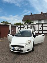 Fiat Punto mit Tüv und sofort Fahrbereit - Fiat Punto in Bonn