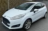 Ford Fiesta 1.0 EcoBoost Sport VOLL - Ford Fiesta aus 2010: Sport