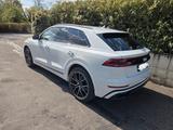 Audi Q8 50 TDI quattro tiptronic - Vollausstattung!  - weiße Audi Q8