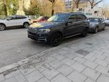 BMW X5 50i xDrive V8 450PS | Motor revidiert  - BMW X5: Motor