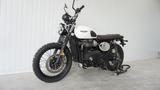 Triumph Street Scrambler *ABS* - TRIUMPH SCRAMBLER
