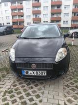 Fiat punto zu verkaufen - Fiat Punto Gebrauchtwagen in Köln