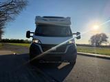 Forster T659EB - Angebote