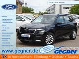 Skoda Kamiq 95PS Ambition Klima LED LMF - Skoda Kamiq: Kleinwagen
