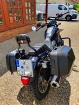 Harley-Davidson Nightster Special mit Jekill&Hyde und neuem Moto - Offers matching your search criteria