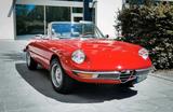 Alfa Romeo Spider 2.0 Fastback - Alfa Romeo aus 1978