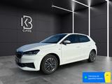 Skoda Fabia 1.0 Tour|FrontAssist|LaneAssist|Navi|4.99% - Skoda Fabia Gebrauchtwagen in Nürnberg