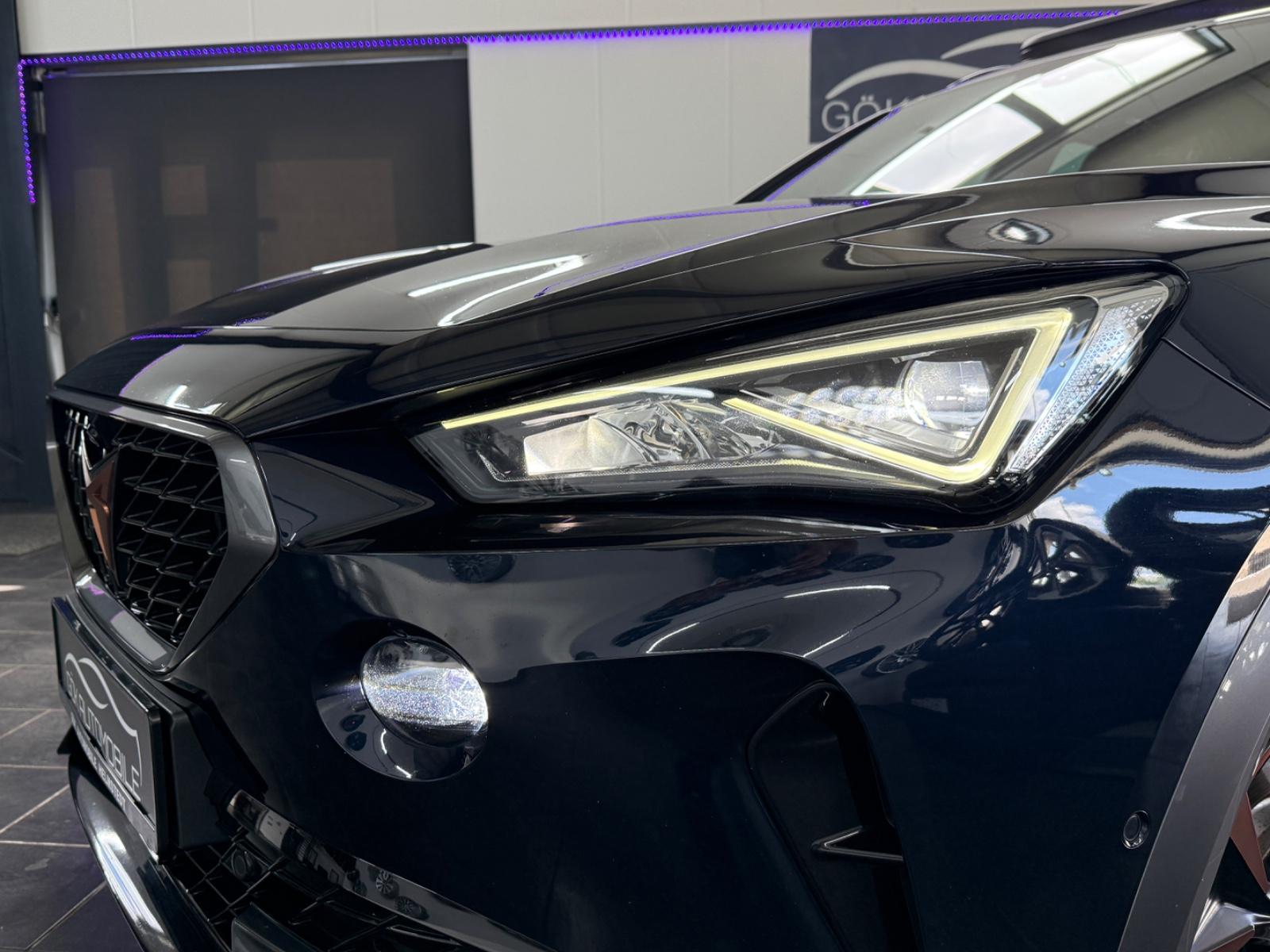 Cupra Formentor VZ 4Drive SCHALENSITZE*CARBON*360*PANO, миниатюра 18