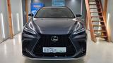 Lexus NX 450h+ E-FOUR F SPORT S - graue Lexus NX 450h