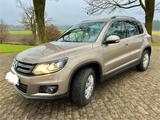 Volkswagen Tiguan 2.0 TSI 155kW 4MOTION LIFE LIFE - : Beige
