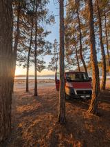 Fiat  Ducato Multijet 100 Campervan Ausbau Bj. 20 - Fiat Ducato: Rot