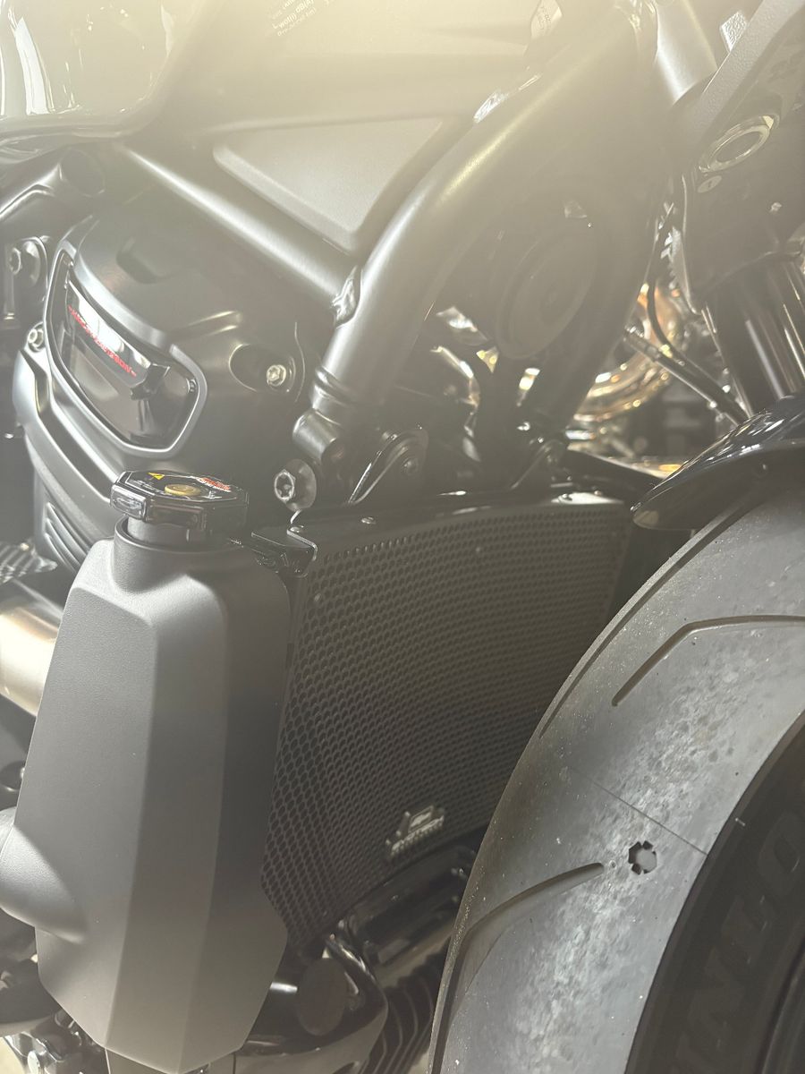 Fahrzeugabbildung Harley-Davidson Sportster S 1250T Umbau