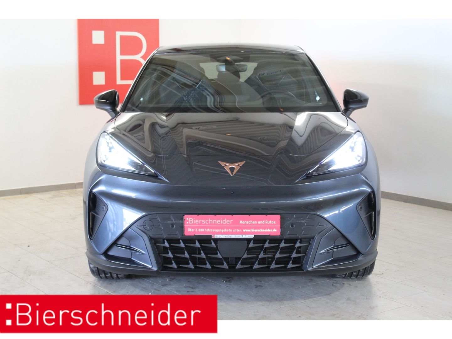 Cupra Raval ENDURANCE 19 NAVI MATRIX SENNH. 5J.-GARANT imagem 3