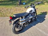 Triumph Street Scrambler 900 - sehr gepflegt m. Garantie - TRIUMPH ENDURO SCRAMBLER