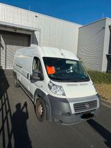 Fiat Ducato Maxi - Fiat Ducato in Mainz