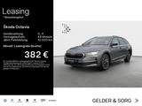 Skoda Octavia Combi 2.0 TDI AHK*LED*Pano*Standh.*360° - Skoda Octavia Jahreswagen