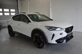 Cupra FORMENTOR  2,0 TSI 310PS 4WD AUT. - Cupra Formentor aus 2022