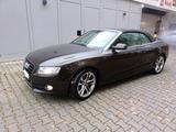 Audi A5 Cabriolet 3.0 TDI Quattro (Typ 8F) - Audi A6: Cabrio