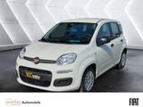 Fiat Panda 1.0 Mild-Hybrid Pandina Klima Parksensoren