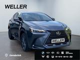 Lexus NX 450h+ E-Four Executive *LED*360°*ACC*el. Sitz - graue Lexus NX 450h
