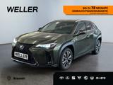 Lexus UX 300h F SPORT Design *LED*ACC*CAM*SHZ*SmartKey - Lexus UX: F Sport Design