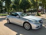 Mercedes-Benz E 250 Cabriolet E 250 CDI BlueEFF. AVANTGARD...