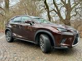 Lexus NX 300 300h E-FOUR Amazing Edition - scheckheftgepflegte Lexus NX-Serie