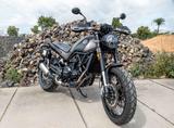 Benelli BENELLI LEONCINO 500 TRAIL  48 PS für A2 - BENELLI GEBRAUCHT