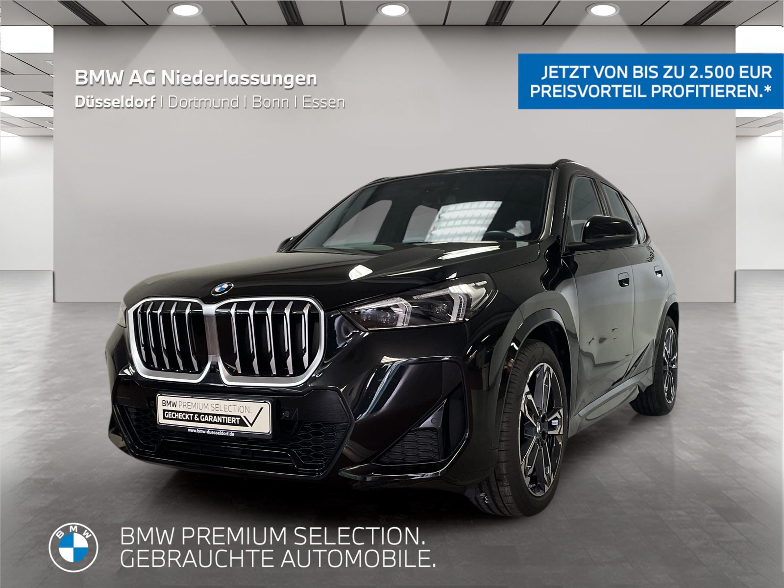 BMW X1 sDrive20i M Sport AHK Driv.Assist.Prof LED foto 1