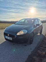 Fiat Punto 1.2 Tüv Neu/Klimaanlage - Fiat Punto Gebrauchtwagen in München