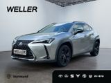 Lexus UX 250h Style+ Edition *LED*CarPlay*CAM*SHZ*TWA* - Lexus in Dortmund
