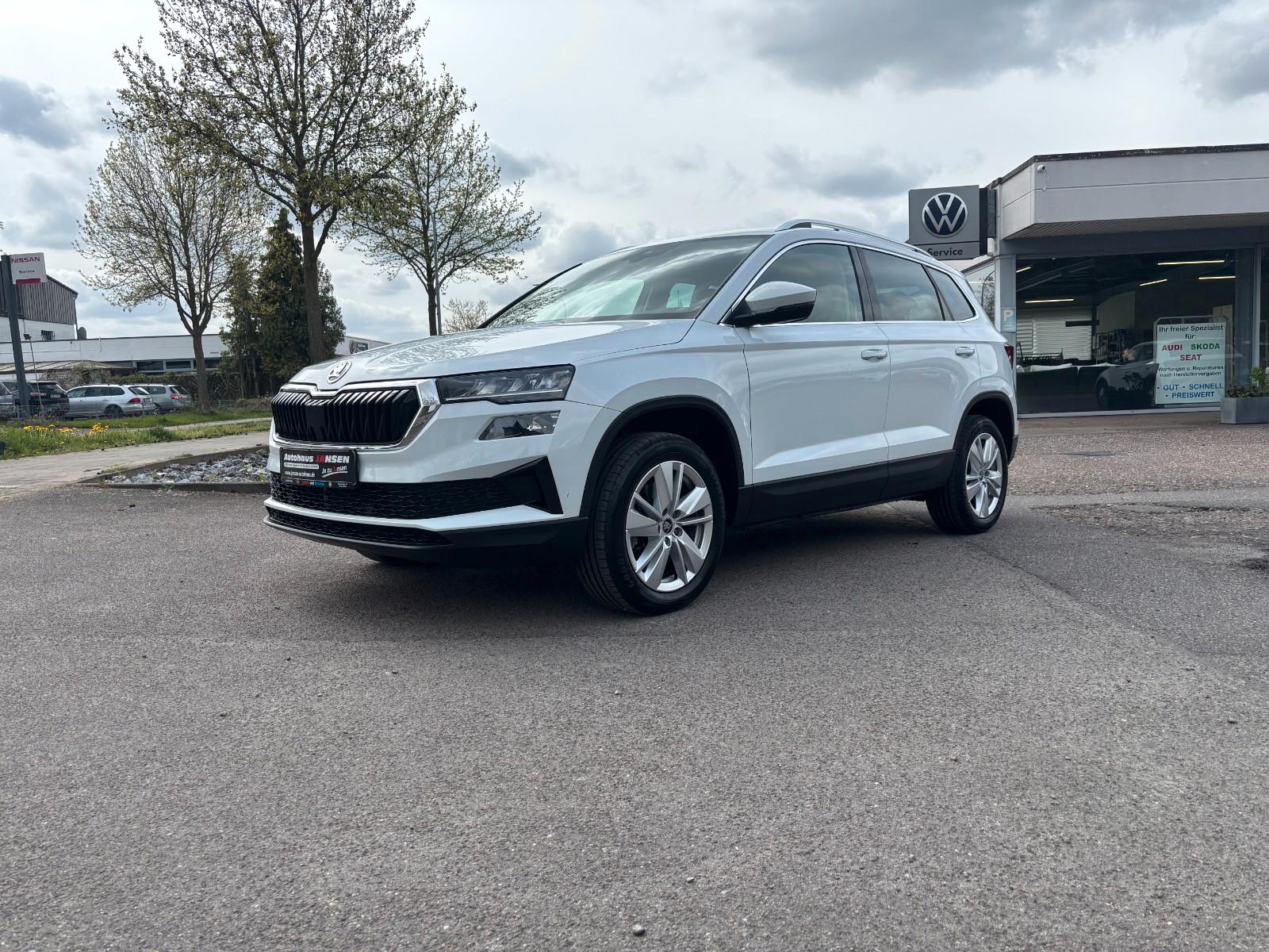 Skoda Karoq Apple + Android / Spurh. / DAB / 2 Zonen