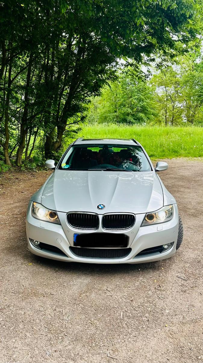 BMW 318 2010 — rear view