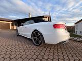 Audi A5 3.0 TDI S tronic quattro Cabriolet - MTM - Audi A5: Mtm