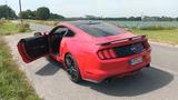 Ford Mustang 5.0 Ti-VCT V8 GT Auto GT - Ford Mustang: Rot