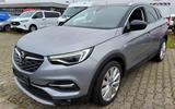 Opel Grandland X 2.0 D[Euro6d-TEMP] S/S AT Ultimate - Opel Grandland (X) aus 2020 mit Diesel-Antrieb: Ultimate