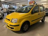 Fiat Panda 1.2 Emotion - Fiat Panda aus 2010: Emotion