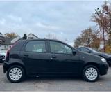 Fiat FIAT PUNTO - Fiat Punto Gebrauchtwagen in Nürnberg