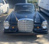 Mercedes-Benz 250 SE Coupé  - Mercedes-Benz 250 mit Benzin-Antrieb: Coupé