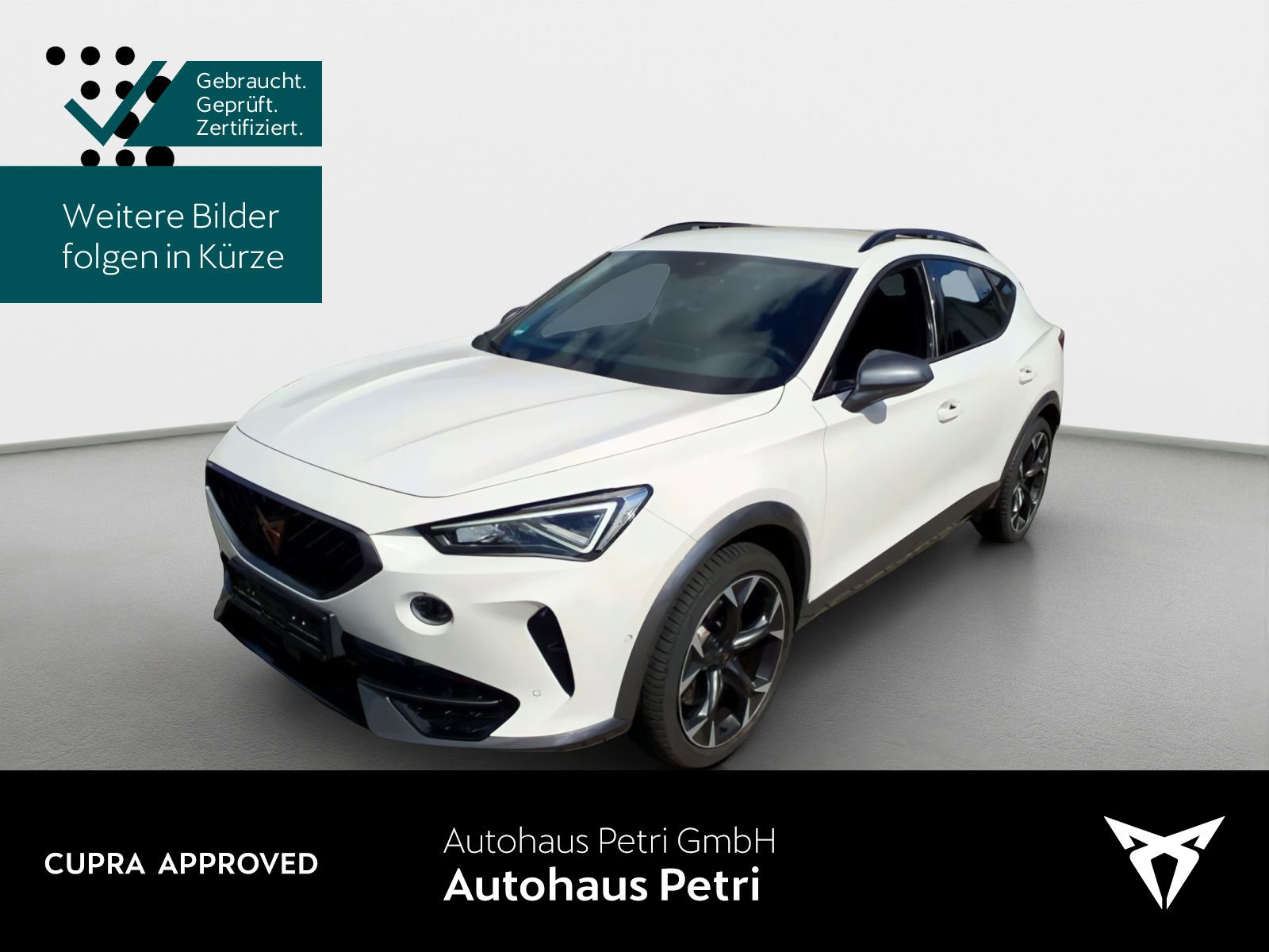Cupra Formentor VZ 2.0 TSI *4x4*NAVI*AHK*KAM*SHZ