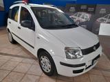 Fiat Panda 1.2 Emotion - Fiat Panda: Emotion
