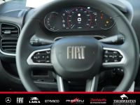 Autohaus Thorwesten Gebrauchtwagen