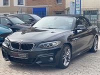 BMW 220 Baureihe 2 Cabrio 220 i M Sport Paket