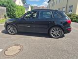 Audi SQ5 3.0 TDI competition tiptronic quattro - - Audi SQ5 Gebrauchtwagen in Köln