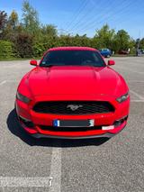 Ford Mustang 2.3 EcoBoost  - Ford Mustang in Nürnberg