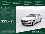 Skoda Octavia Combi 2.0 TDI DSG*SELEKTION*RFK*LED*NAV* - Skoda Octavia Jahreswagen mit Diesel-Antrieb: Kombi