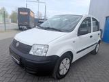 Fiat Panda 1.1 8V Active - Fiat Panda Active mit Benzin-Antrieb