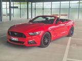 Ford Mustang 5.0 V8 Cabrio GRAIL Schalter - Ford Mustang Gebrauchtwagen in Braunschweig